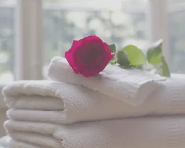 ニューストップ画像